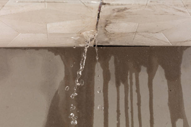 Professional Burst Pipe Cleanup technician working in Holton, MI